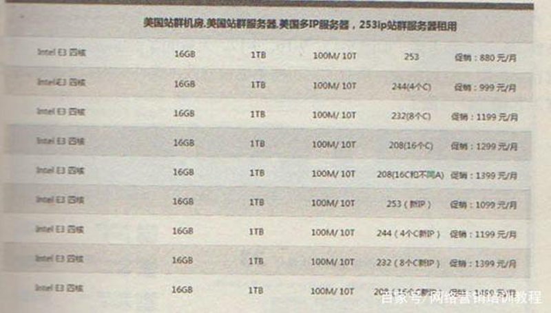 站群程序：Web 网站搭建的新引擎